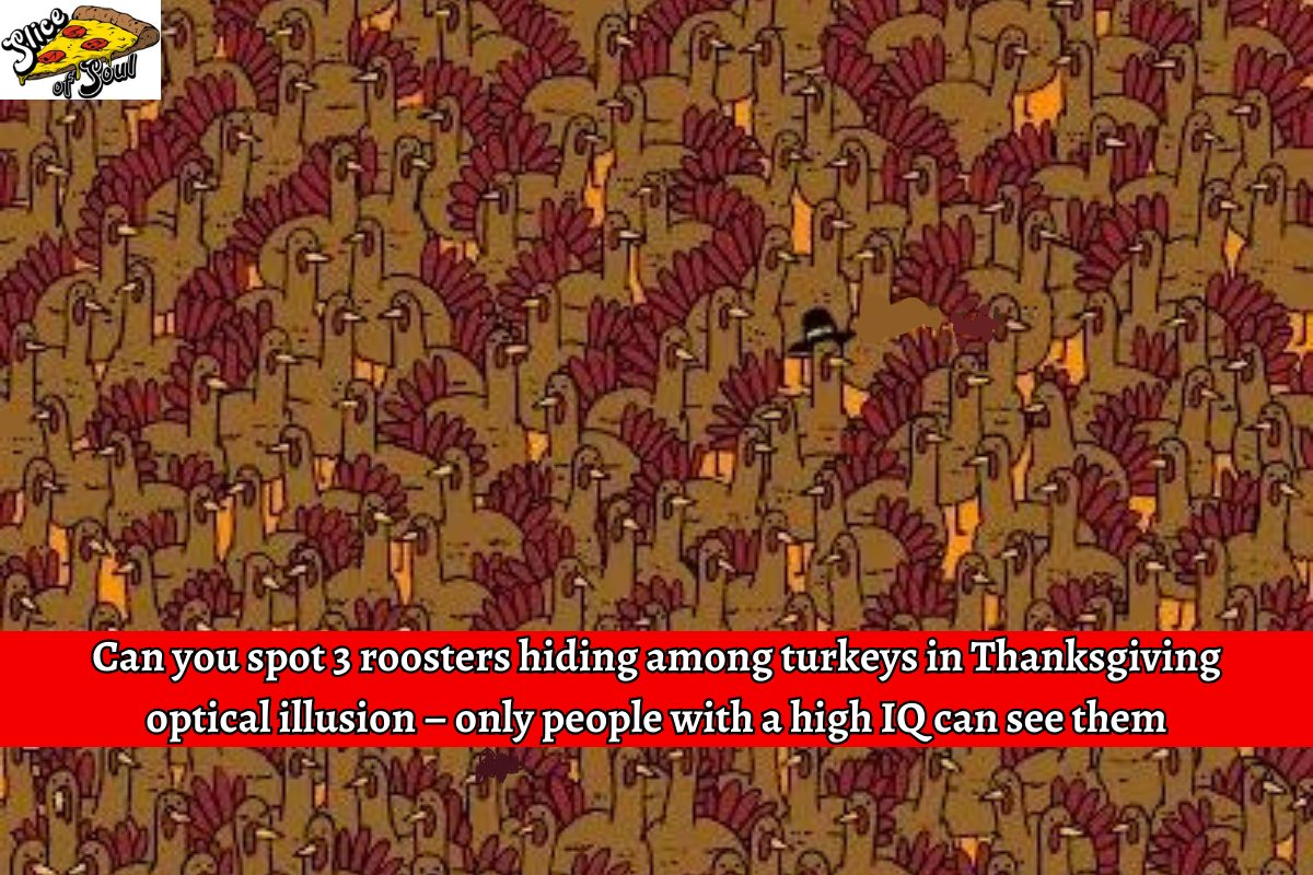 Can you spot 3 roosters hiding among turkeys in Thanksgiving optical illusion – only people with a high IQ can see them