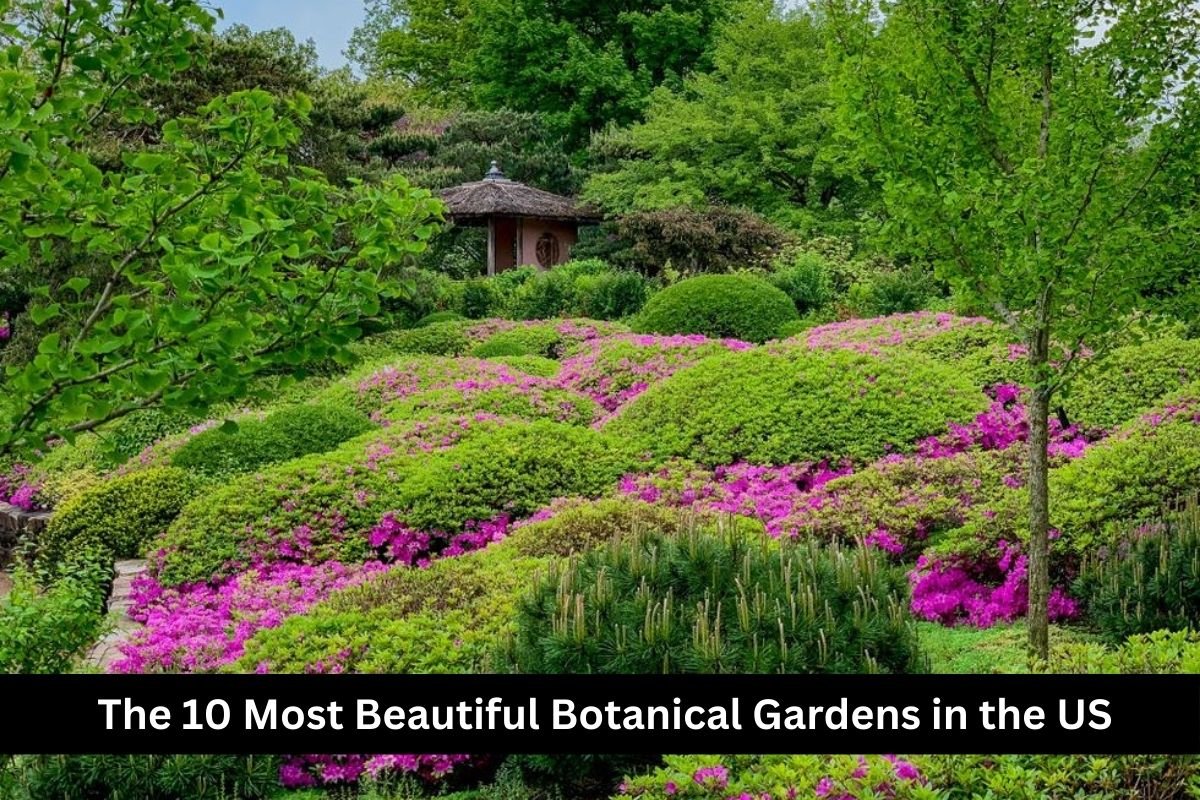 The 10 Most Beautiful Botanical Gardens in the US